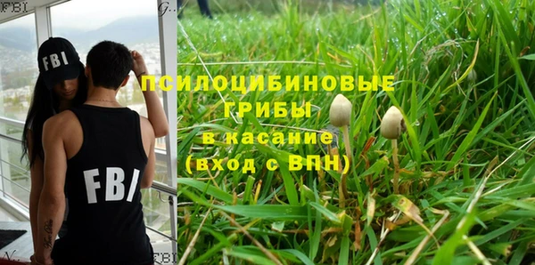 ПСИЛОЦИБИНОВЫЕ ГРИБЫ Алексеевка