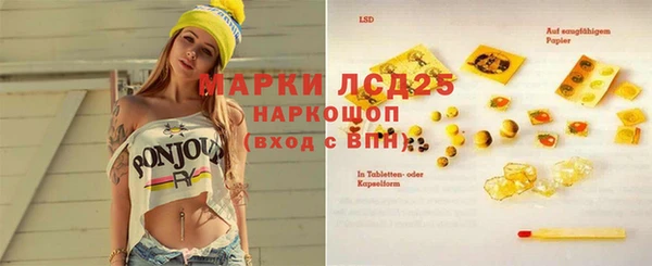 ПСИЛОЦИБИНОВЫЕ ГРИБЫ Алексеевка